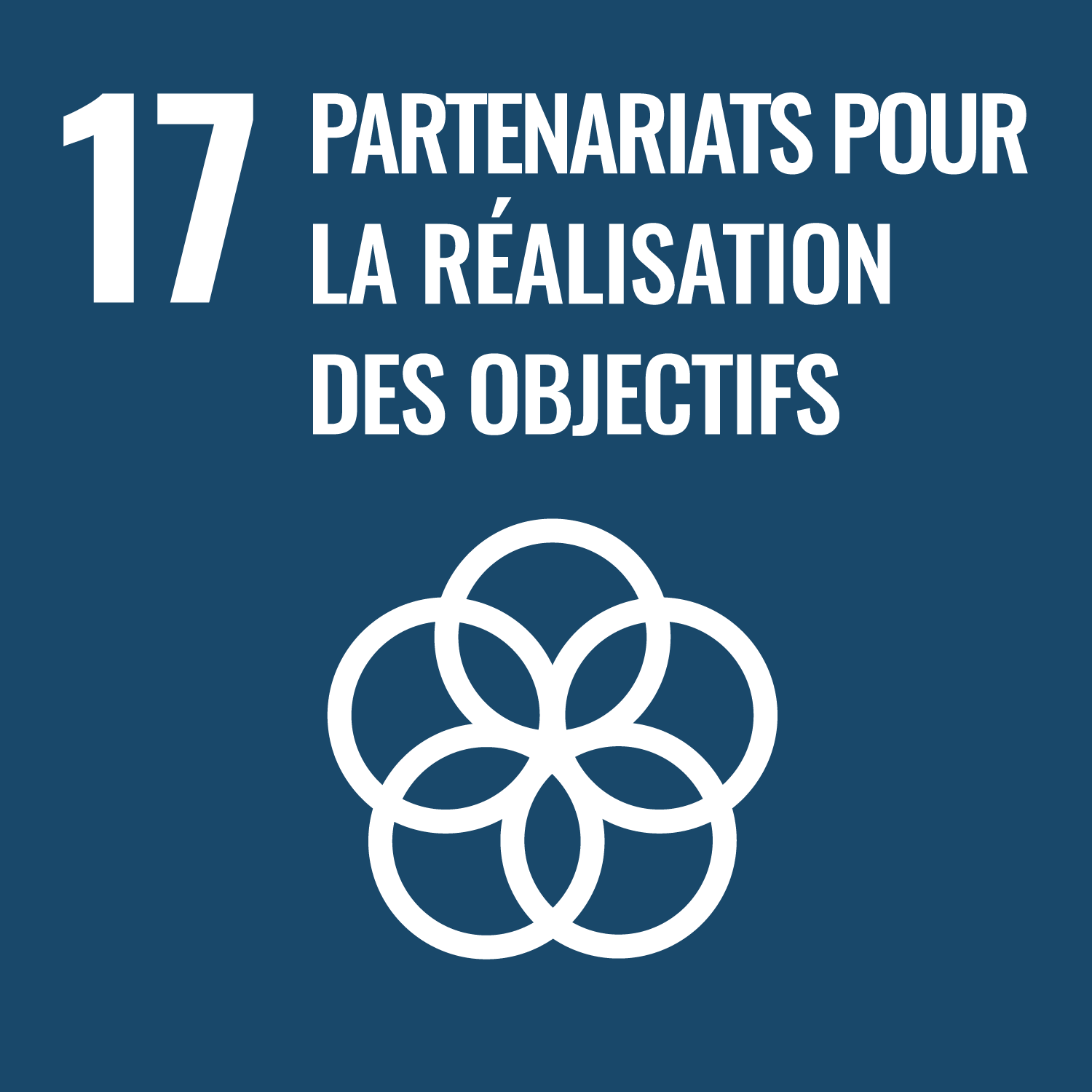 l’objectif 17 : Partenariats pour la réalisation des objectifs
